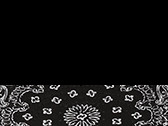 Black/Paisley