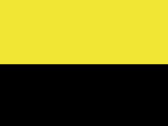 Yellow/Black