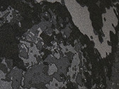 Poseidon Black