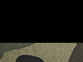 Black/Jungle Camo