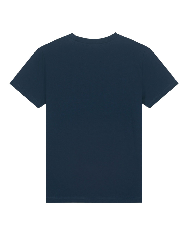 French Navy
