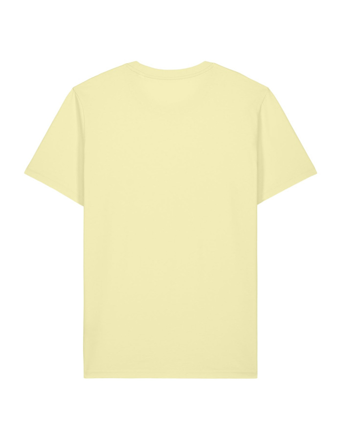 Lemon Sorbet