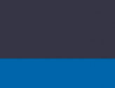 Dark Cobalt/Lions Blue