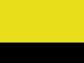 Fluorescent Yellow/Black