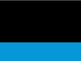 Black/Electric Blue