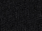 DTG Black