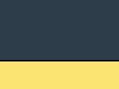 Navy/Sun Yellow