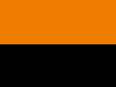 Fluorescent Orange/Black