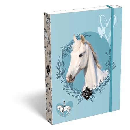 Box na zošity, A5, LIZZYSULI, "Wild Beauty, Sport Club"