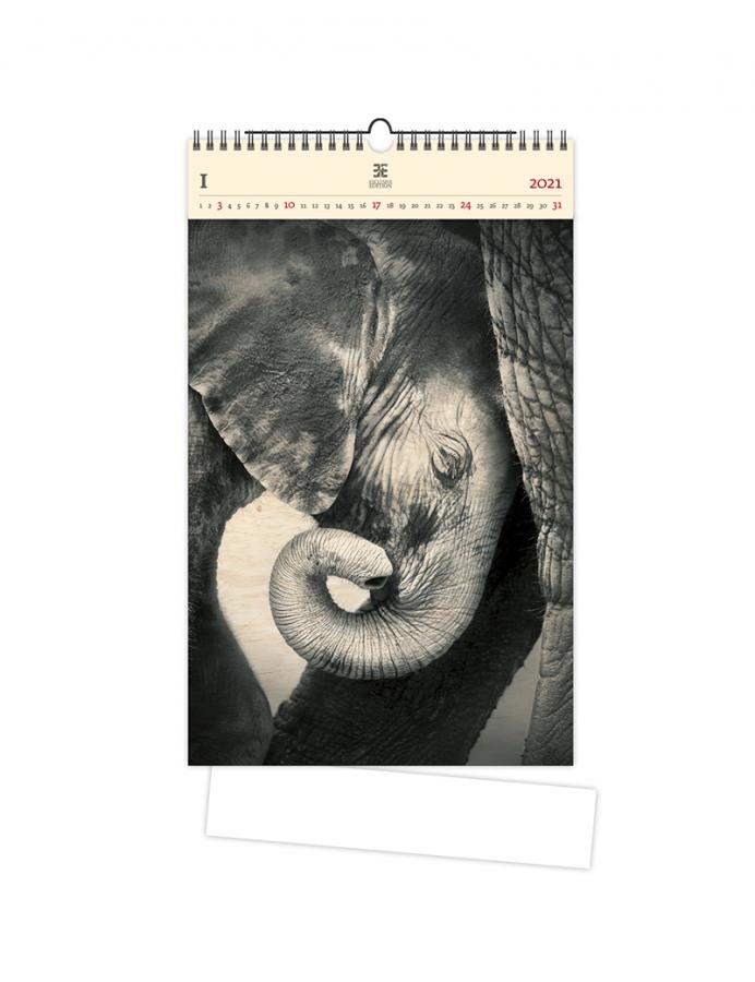 Little Elephant