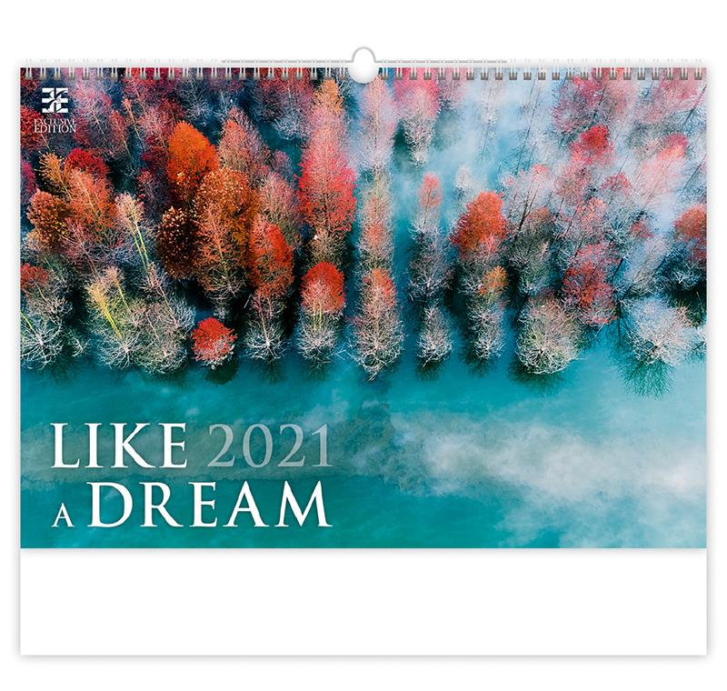 Like a Dream