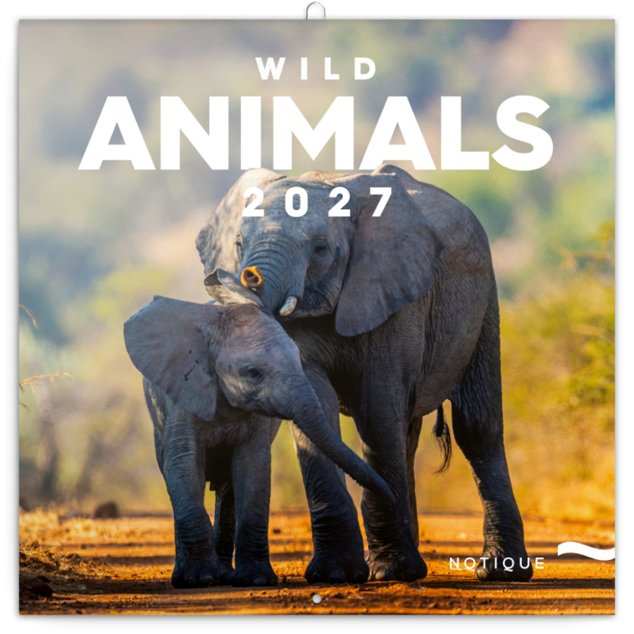 NOTIQUE Grid calendar Wild Animals 2027, 30 x 30 cm
