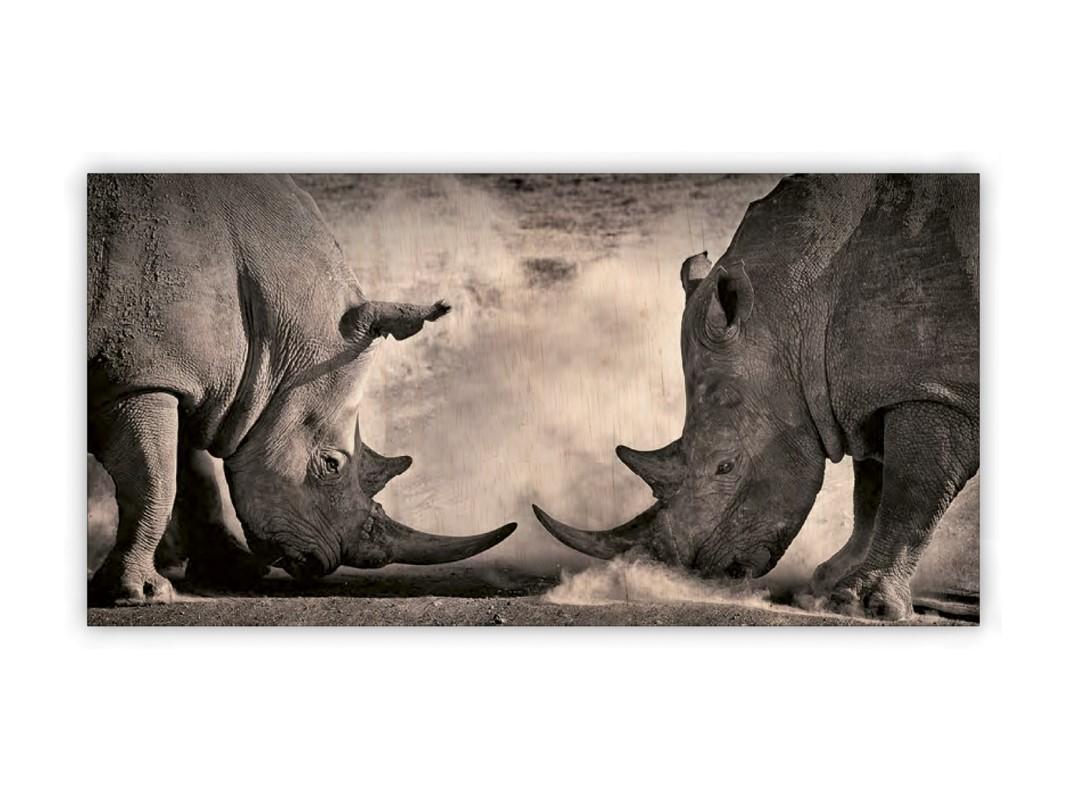 Rhinos