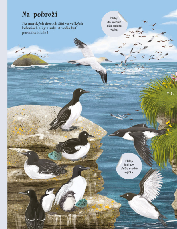 SVET SÝKORIEK, VRABCOV a iných spevavcov – Kniha samolepiek 3