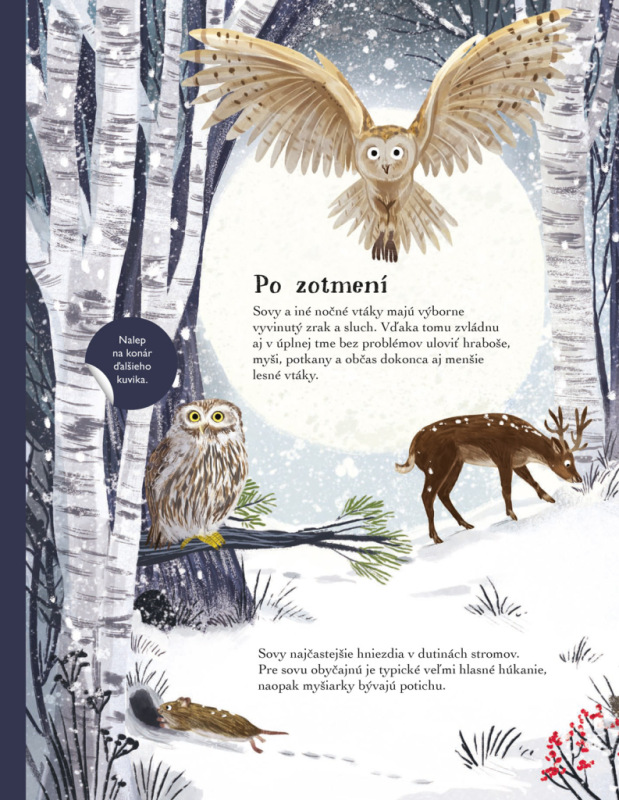 SVET SÝKORIEK, VRABCOV a iných spevavcov – Kniha samolepiek 5