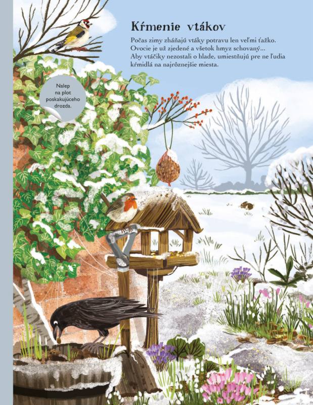 SVET SÝKORIEK, VRABCOV a iných spevavcov – Kniha samolepiek 7