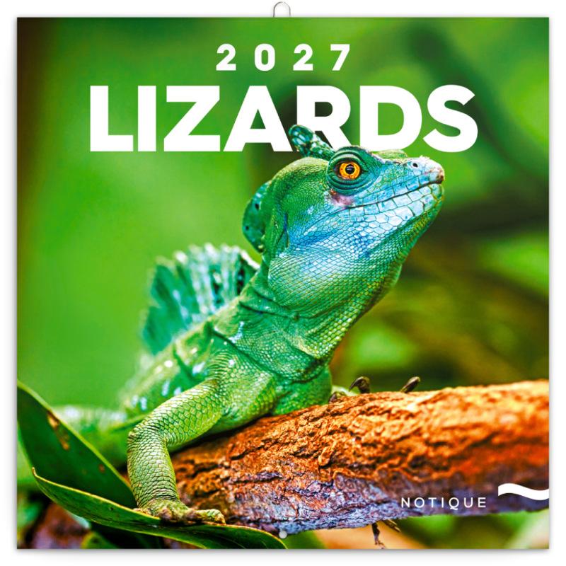 NOTIQUE Grid calendar Lizards 2027, 30 x 30 cm