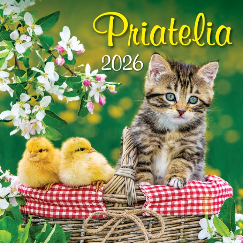 Nástenný kalendár Priatelia 2026 1