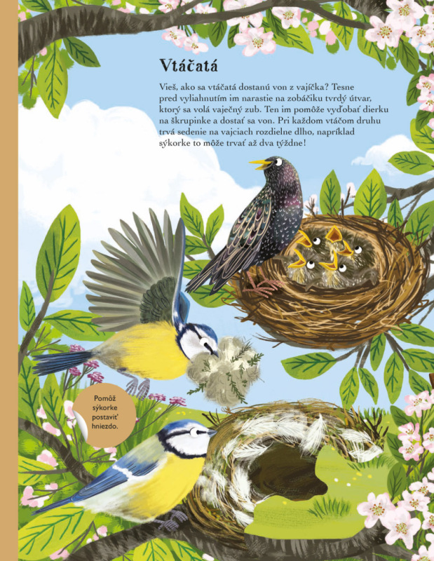 SVET SÝKORIEK, VRABCOV a iných spevavcov – Kniha samolepiek 1