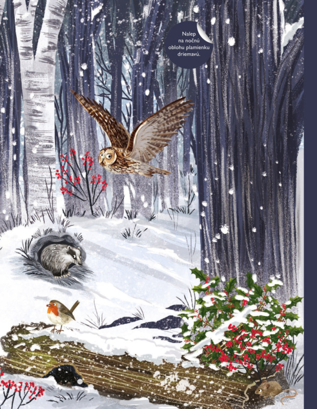 SVET SÝKORIEK, VRABCOV a iných spevavcov – Kniha samolepiek 6