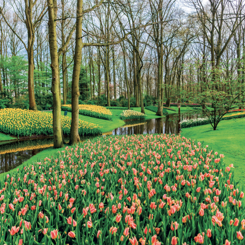 NOTIQUE Grid calendar Gardens 2027, 30 x 30 cm 5