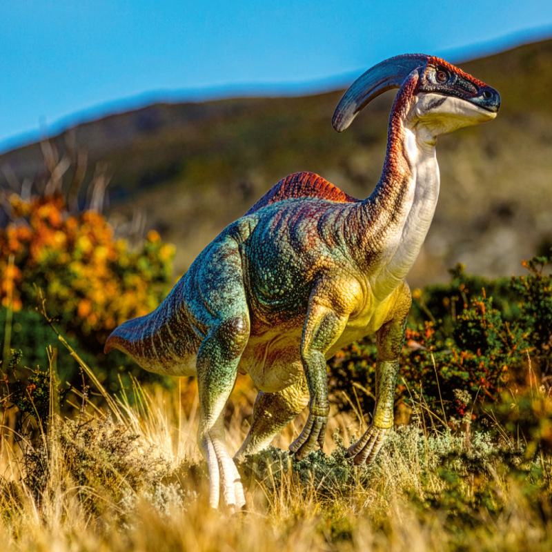 NOTIQUE Poznámkový kalendár Dinosaury 2027, 30 x 30 cm 11