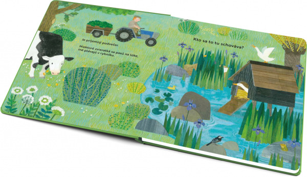 Kto sa to tu schováva? NA DVORE – Knižka s odklápacími okienkami 6