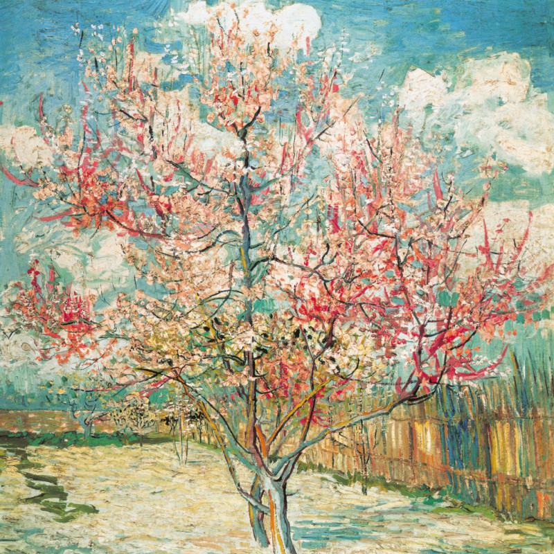 NOTIQUE Poznámkový kalendár Vincent van Gogh 2026, 30 x 30 cm 6