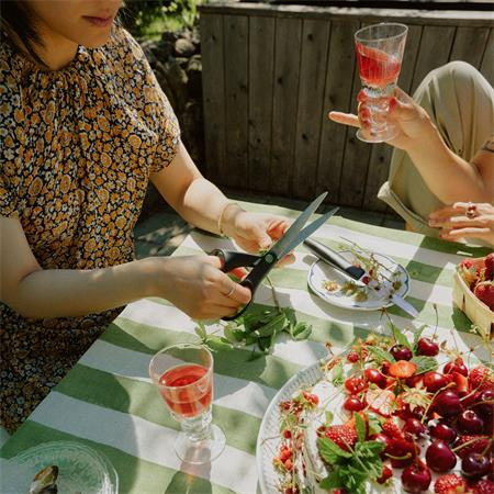 Kuchynské nožnice, 21 cm FISKARS "Functional ReNew", čierne 6