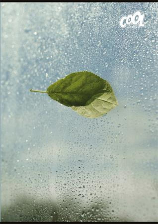 Zošit, A4, čistý, 80 listov, COOL BY VICTORIA "Green Calm" 2