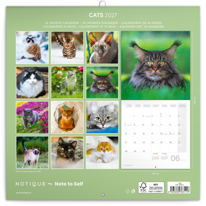 NOTIQUE Grid calendar Cats 2027, 30 x 30 cm 14