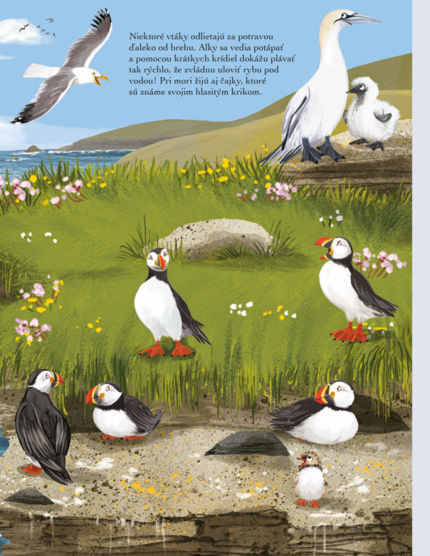 SVET SÝKORIEK, VRABCOV a iných spevavcov – Kniha samolepiek 4