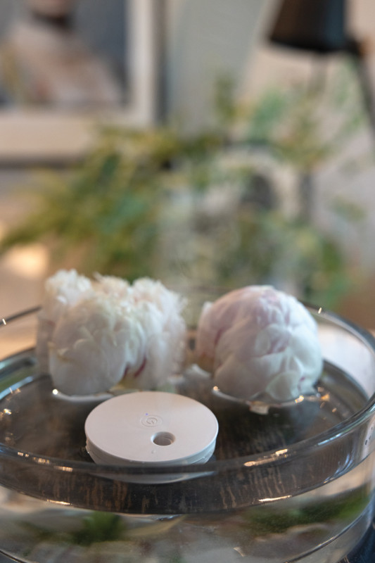 Breevia RCS plávajúci zvlhčovač béžová 9