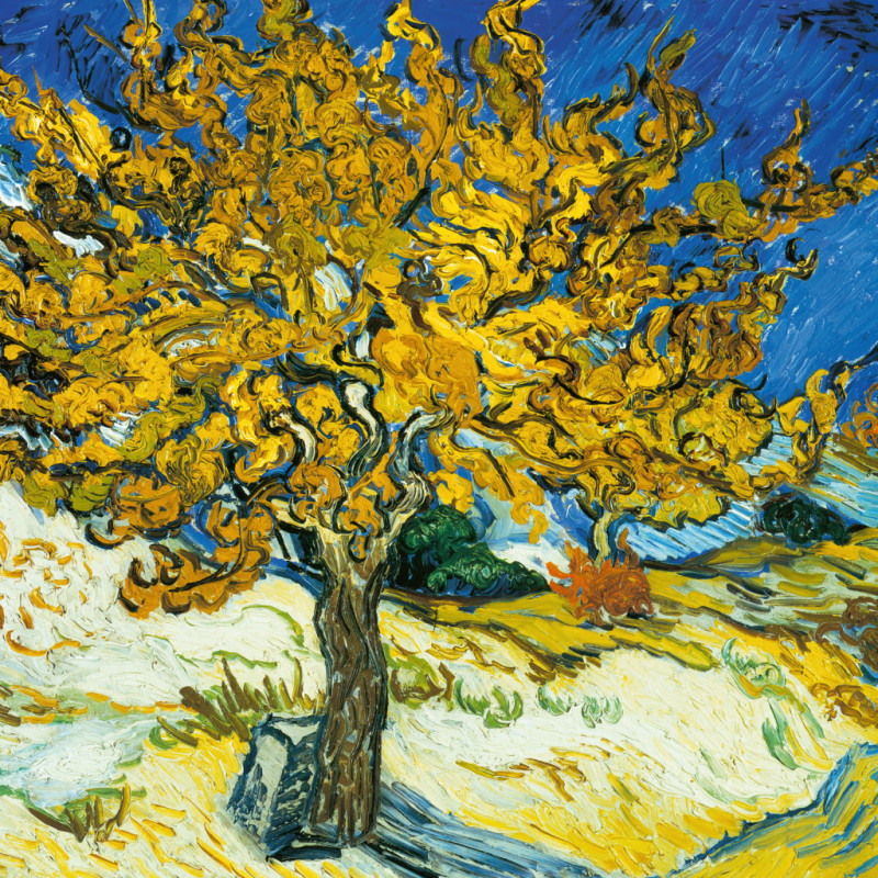 NOTIQUE Poznámkový kalendár Vincent van Gogh 2026, 30 x 30 cm 10