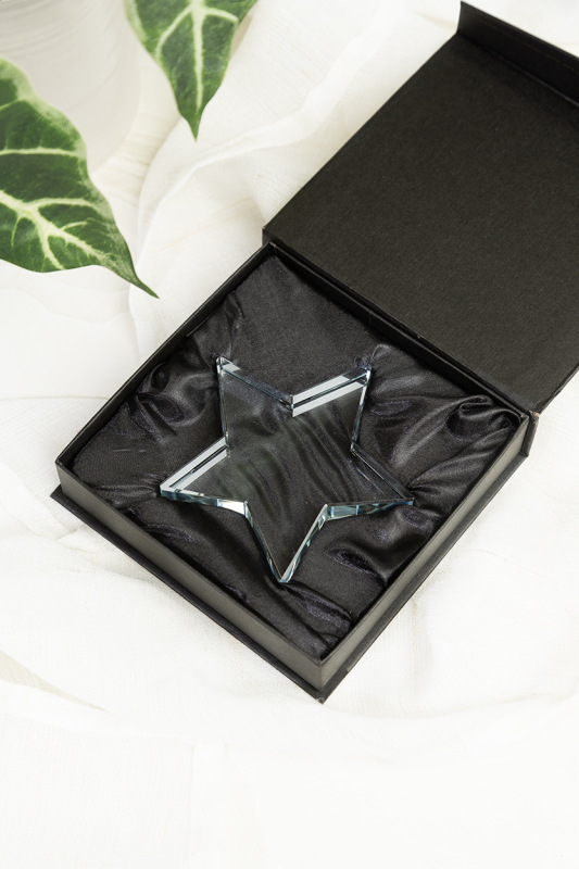 Crystar trofej s hviezdou 5