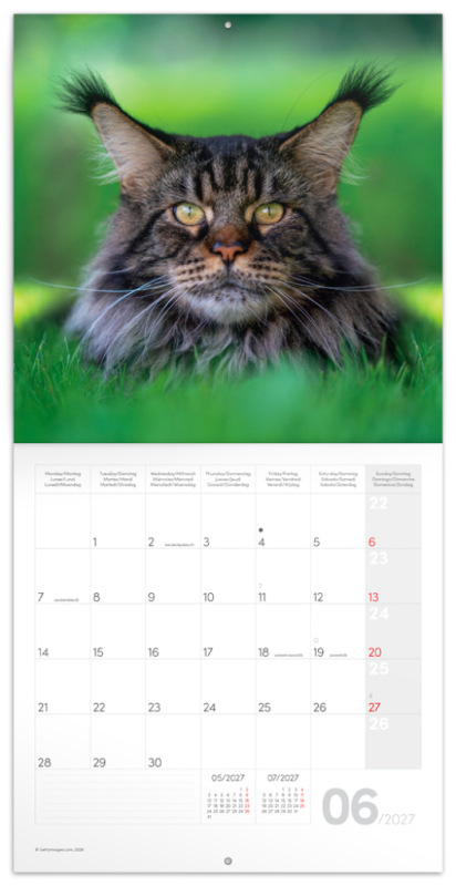 NOTIQUE Grid calendar Cats 2027, 30 x 30 cm 1