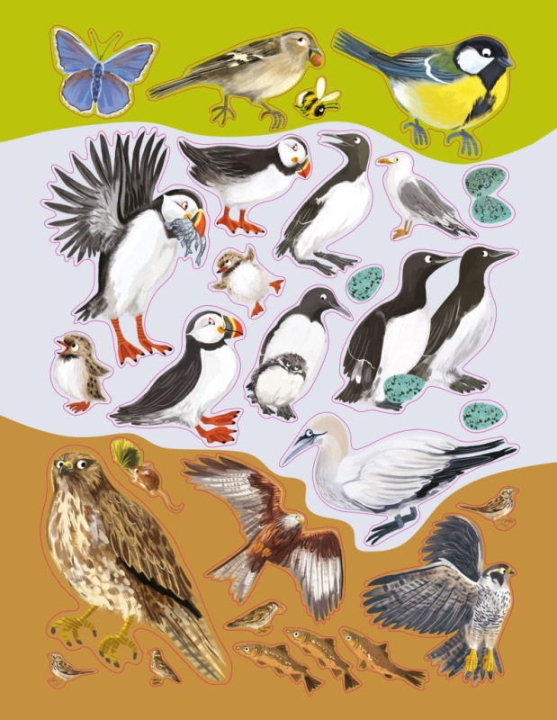 SVET SÝKORIEK, VRABCOV a iných spevavcov – Kniha samolepiek 10