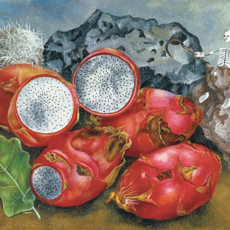 NOTIQUE Grid calendar Frida Kahlo 2027, 30 x 30 cm 9