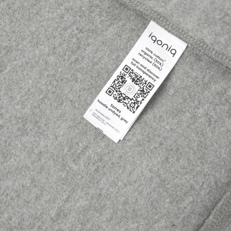 Nefarbená mikina s kapucňou Iqoniq Torres z recykl. bavlny heather grey 5XL 6