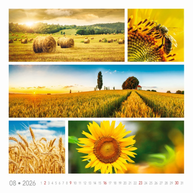 Nástenný kalendár Colours of nature 2026 6
