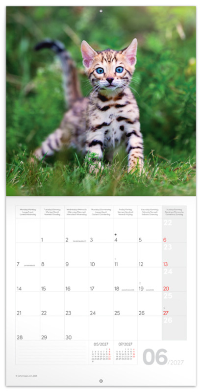 NOTIQUE Grid calendar Kittens 2027, 30 x 30 cm 1