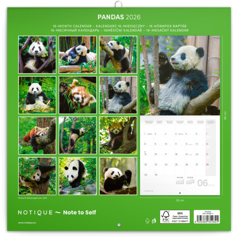 NOTIQUE Poznámkový kalendár Pandy 2026, 30 x 30 cm 14