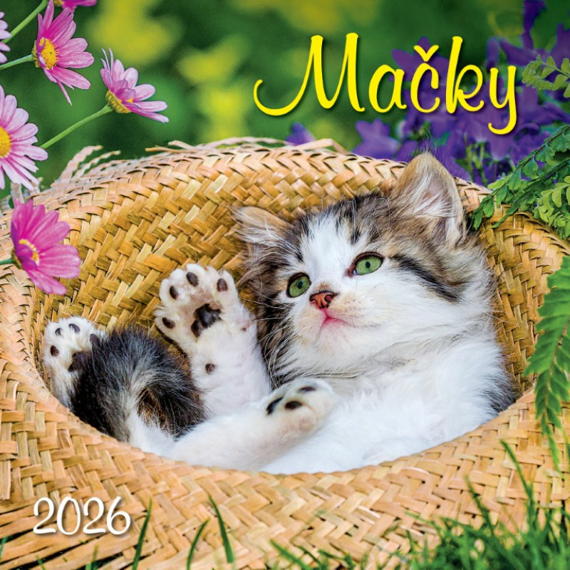 Nástenný kalendár Mačky 2026 1