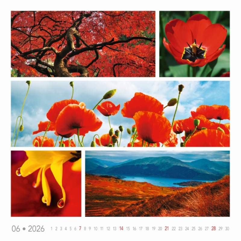 Nástenný kalendár Colours of nature 2026 4