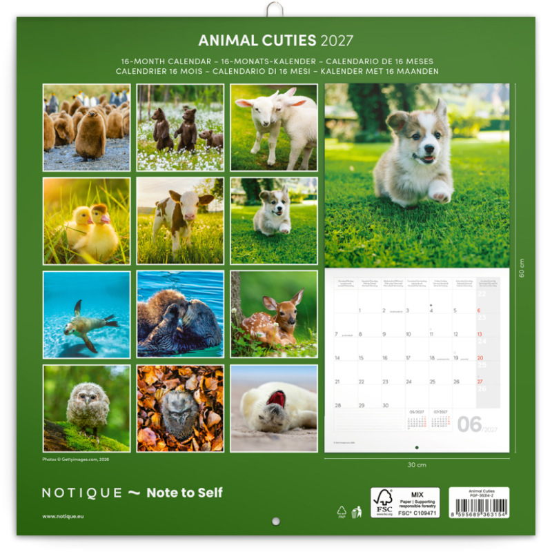NOTIQUE Grid calendar Animal Cuties 2027, 30 x 30 cm 14