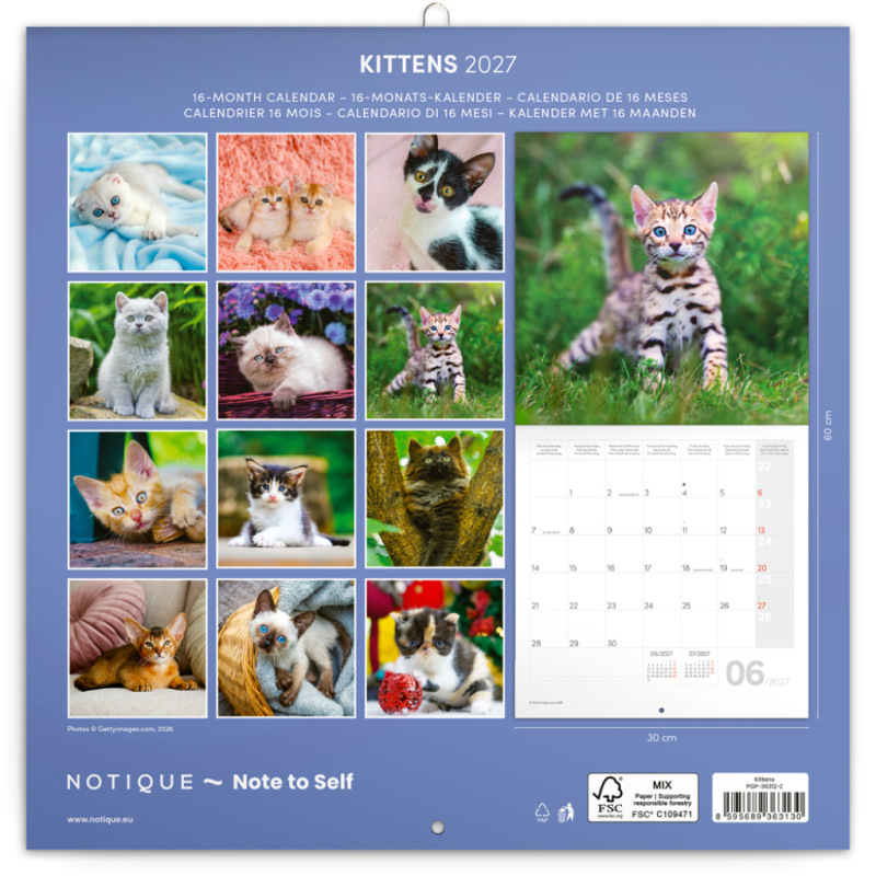 NOTIQUE Grid calendar Kittens 2027, 30 x 30 cm 14