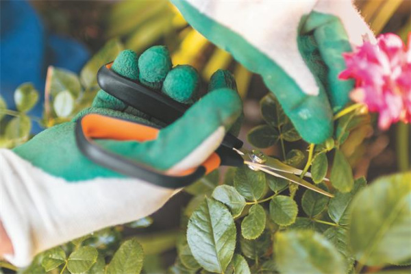 Záhradnícke nožnice, s ostrou špičkou, FISKARS "Solid™ SP15" 5