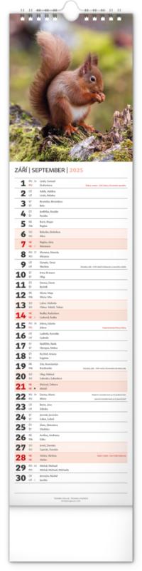 NOTIQUE Nástenný kalendár Lesní zvěř – Lesná zver CZ/SK 2025, 12 x 48 cm