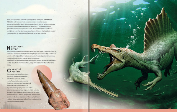 Velký obrazový sprievodca DINOSAURY 2