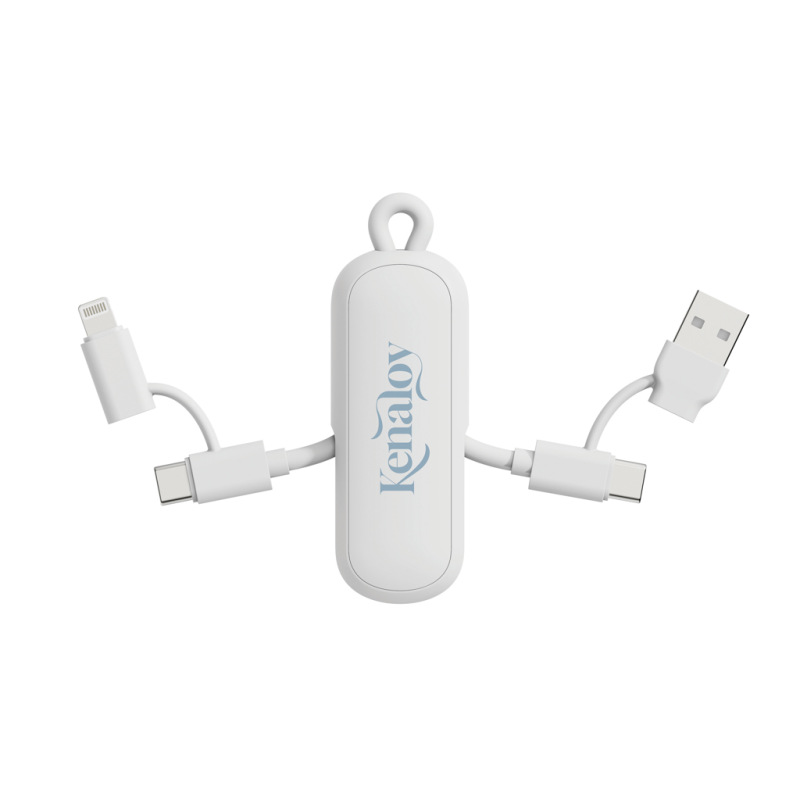 Urban Vitamin Dublin 100W 4-in-1 kľúčenkový kábel biela 9